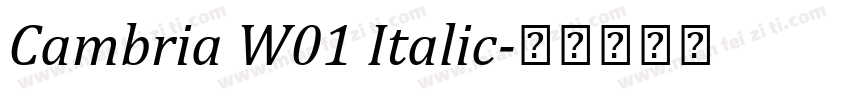 Cambria W01 Italic字体转换